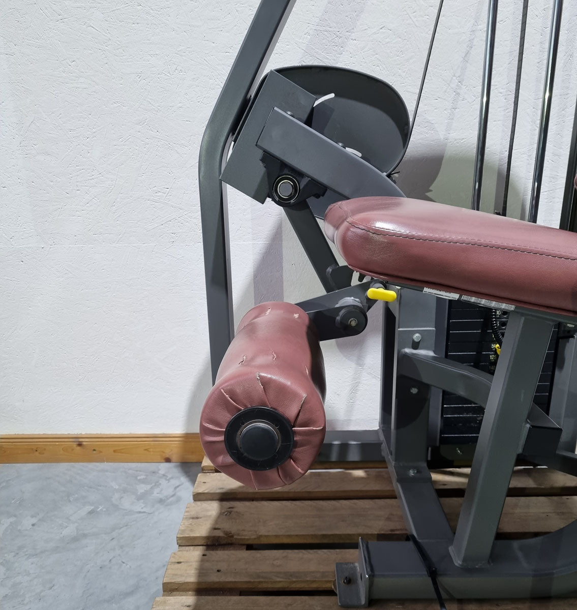 Nautilus Nitro Beinstrecker und Beinbeuger sitzend, 2 Geräte im Set, Leg Curl and Leg Extension seated, Rahmenfarbe Anthrazit, gebraucht - überholter Zustand