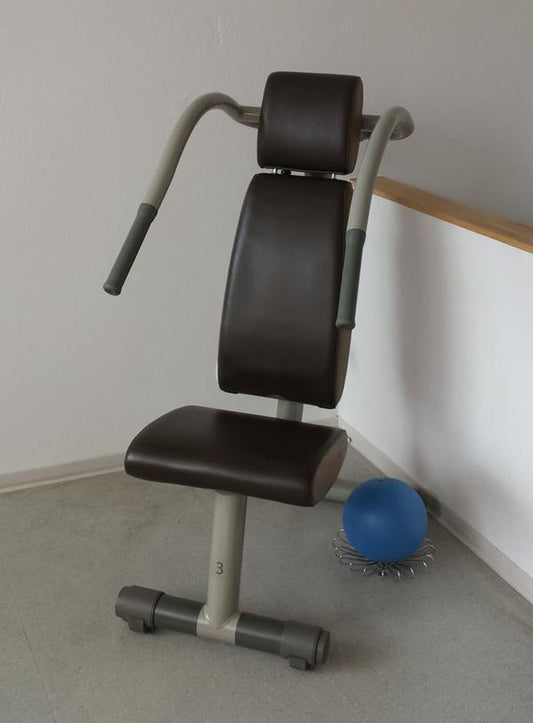 TechnoGym Easy Line Zirkelgerät, Latzug und Schulterpresse, Kombigerät 2 in 1, Einzelgerät hydraulisch, Polster Braun, gebraucht