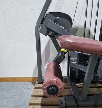 Nautilus Nitro Beinstrecker und Beinbeuger sitzend, 2 Geräte im Set, Leg Curl and Leg Extension seated, Rahmenfarbe Anthrazit, gebraucht - überholter Zustand