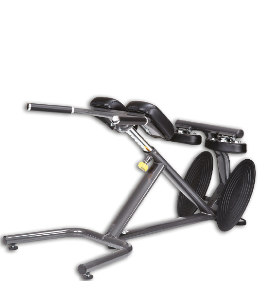 Sportsart Back Hyperextension, Hyperextension 45G A993