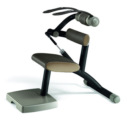 TechnoGym Easy Line circuit machine, abdominal and back extension, 2-in-1 combination machine, single hydraulic machine, brown upholstery, used