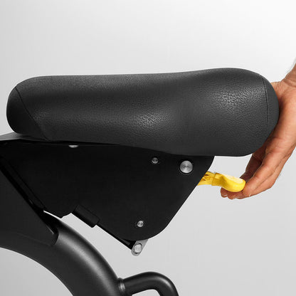 Technogym verstellbare Hantelbank ohne Ablagen, Multibank, Universalbank, Adjustable Bench, Rahmenfarbe Schwarz, gebraucht - überholter Zustand