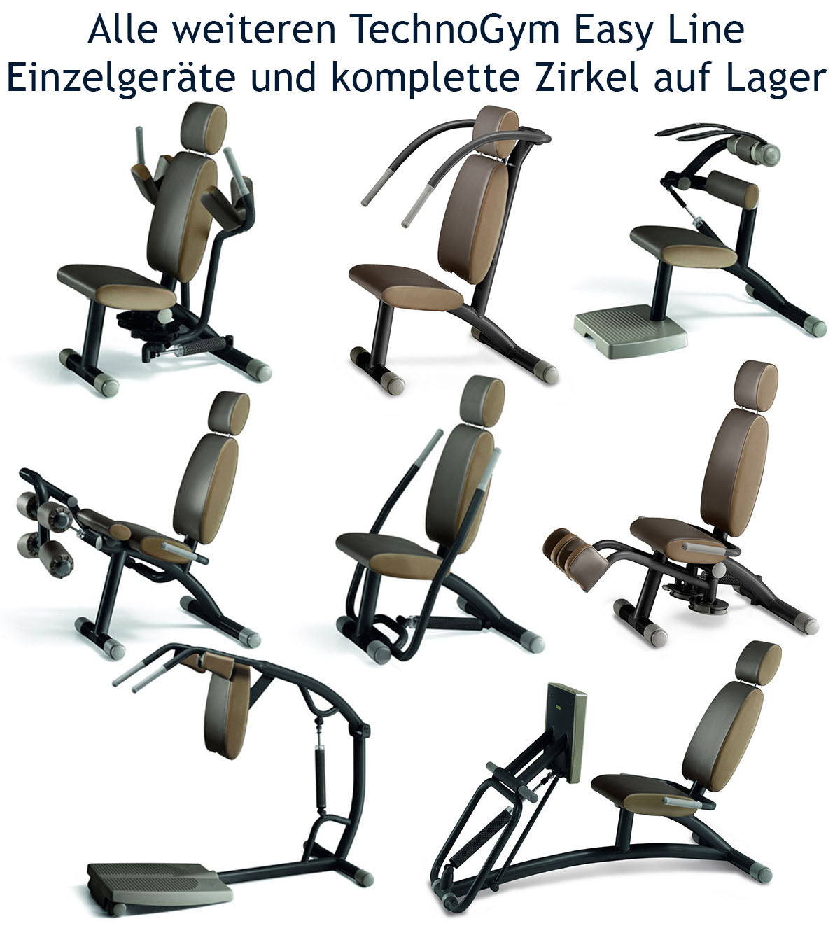 TechnoGym Easy Line Zirkelgerät, Beinstrecker und Beinbeuger, Kombigerät 2 in 1, Einzelgerät hydraulisch, Polster Braun, gebraucht