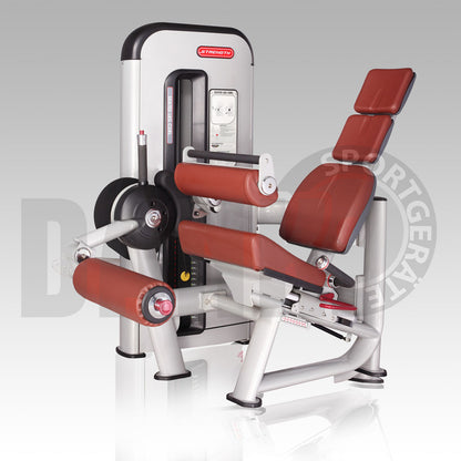 Danksport S-Line strength training equipment, equipment park with approximately 22 fitness machines and accessories, color silver, upholstery brown - New equipment / exhibition equipment