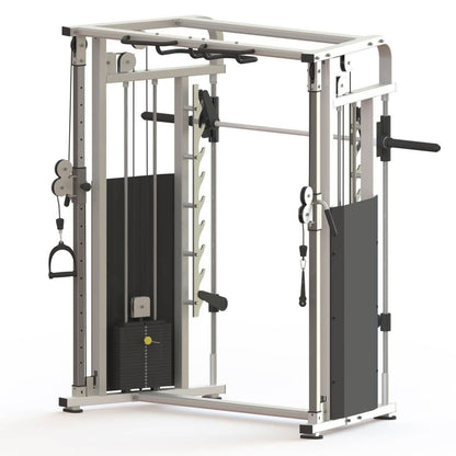 DankSport Enger Doppel Kabelzug höhenverstellbar und Multipresse geführt - 2 in 1 Kombigerät - Dual adjustable Cable Pulley and Smith Machine - 2x 100kg Gewichtsblöcke - Silber - NEU