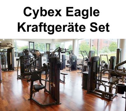 Cybex Eagle, VR1 und VR3 Kraftgeräte Set, 17 Fitnessgeräte ( 18 Stationen ) Made in USA - gebraucht - überholter Zustand