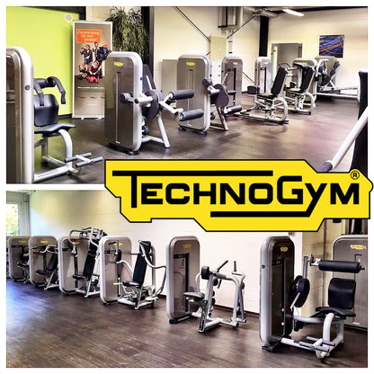 TechnoGym 12 Kraftgeräte im Set, Element Line Serie, Kraftgerätepark Fitnessstudio, gebraucht - überholter Zustand