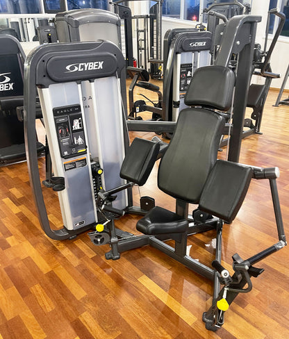 Cybex Eagle NX Arm Curl, Bizepsmaschine, Biceps Curl, Rahmenfarbe Anthrazit, gebraucht - überholter Zustand