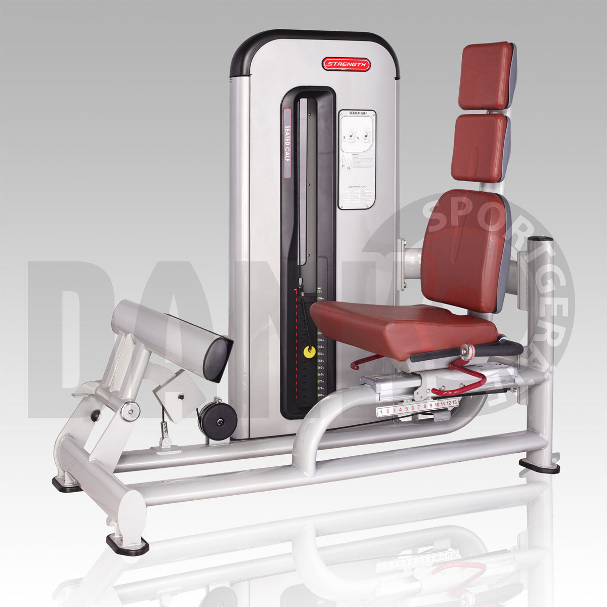 Aehnlich Star Trac, TechnoGym oder Gym80 - Danksport S-Line Gerätepark - 30 Kraftgeräte & Zubehör, Neue Geräte, Farbe Silber, Polster Braun
