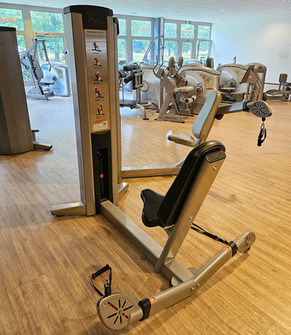 Freemotion Multi-Plane Shoulder G601 - Schulterpresse am Kabel, Kabelzüge für Schultertraining, Krafttrainingsgerät aus der Genesis Serie, Rahmenfarbe Silber, gebraucht - überholter Zustand