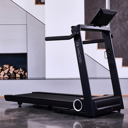 Hammer Q. VADIS 10.0 treadmill