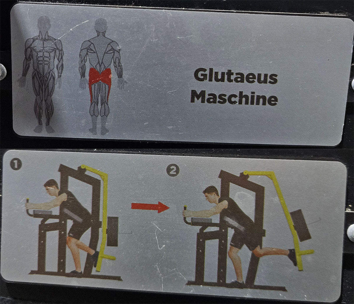 Master Sport Plate loaded Set, 14 Kraftgeräte, Farbe Schwarz/Anthrazit und Gelb, gebraucht - geprüfter Zustand