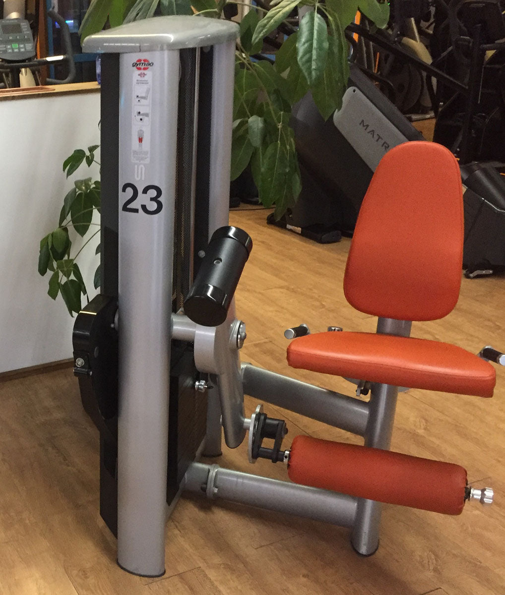 Gym80 Sygnum Einzelgeräte z.B. Kabelzug, Beinstrecker, Latzug, Brustpresse, Gluteus, Seilzug, Drückerbank, Bänke verstellbar Basic, Rückenstrecker etc, gebraucht
