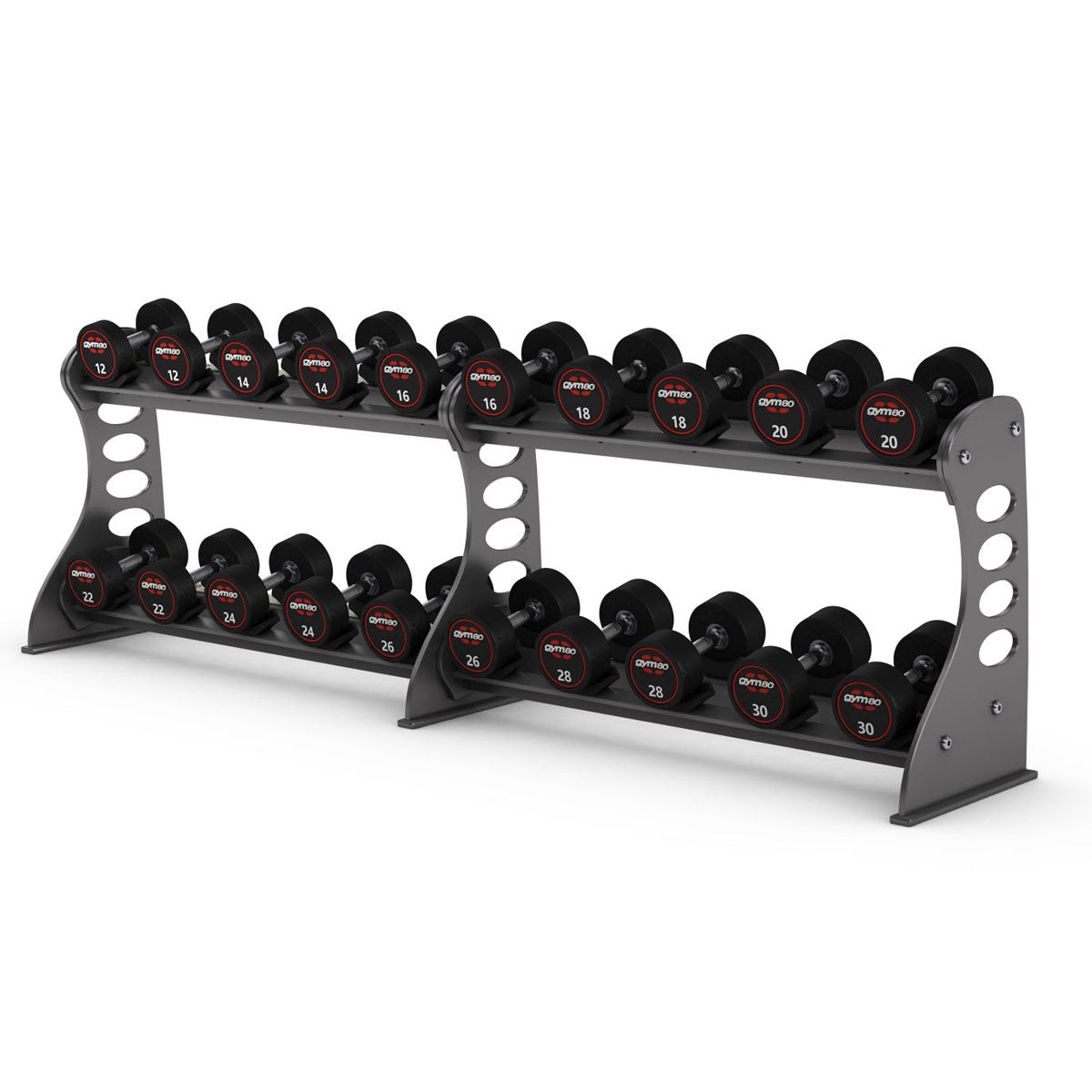 Gym80 Dumbbell Rack 4050 Long, Sygnum, Silver, used - refurbished condition