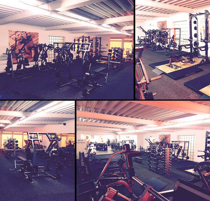 Life Fitness and Hammer Strength - complete gym - 65 pieces of fitness equipment - strength training equipment, cardio equipment, circuits, plate-loaded equipment, benches, etc. - used - TOP condition