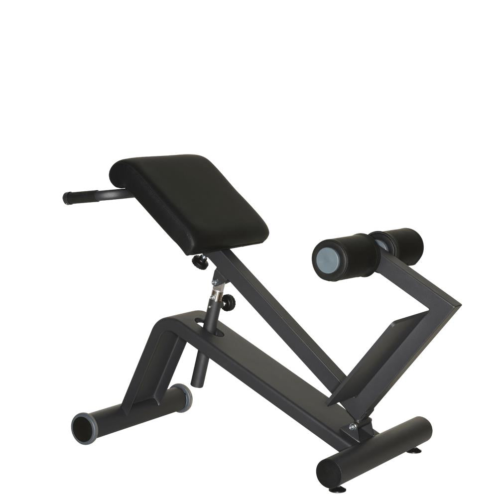 Dynamed Lateral/Lumbar Trainer, Stolzenberg - NEW