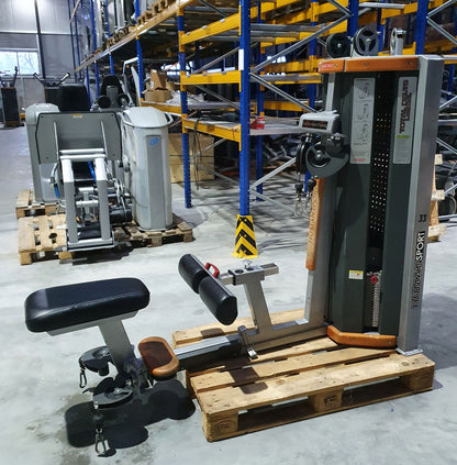 Star Trac Human Sport - Arm-. Rücken- und Schultertraining, Total Delts and Rear-Row - 2 in 1 Dual Functional Kombimaschine, gebraucht - überholter Zustand