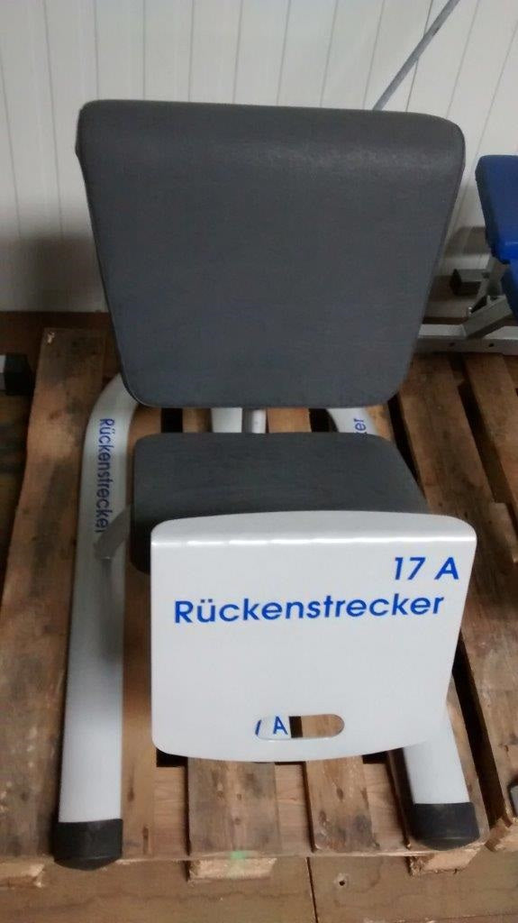 Kaphingst Hyperextension / Rückenstrecker, Knielage, verstellbar, gebraucht