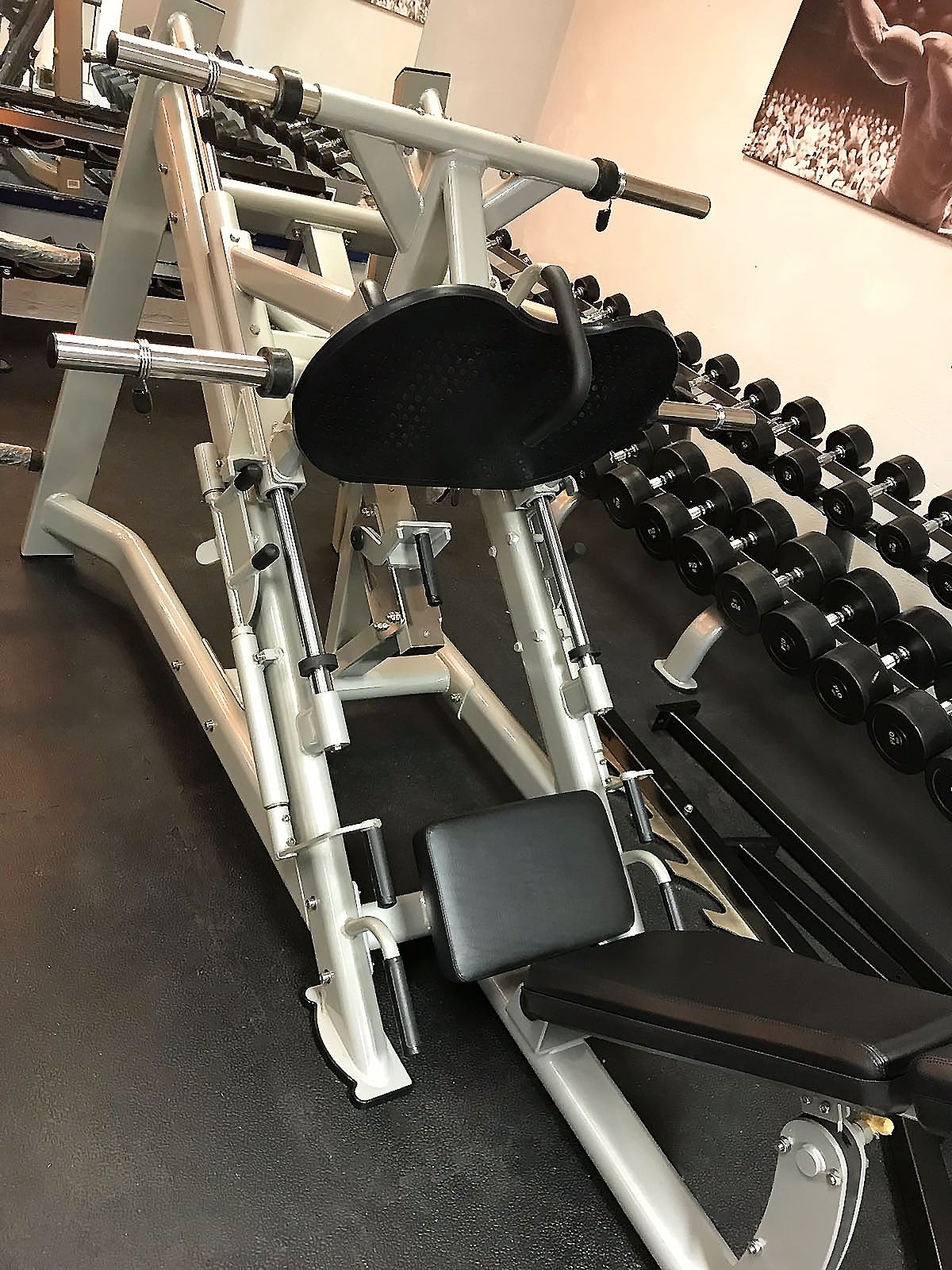 DankSport Beinpresse 45° Grad mit Scheibenaufnahmen Plate loaded, Leg Press, Silber und Schwarz - NEU
