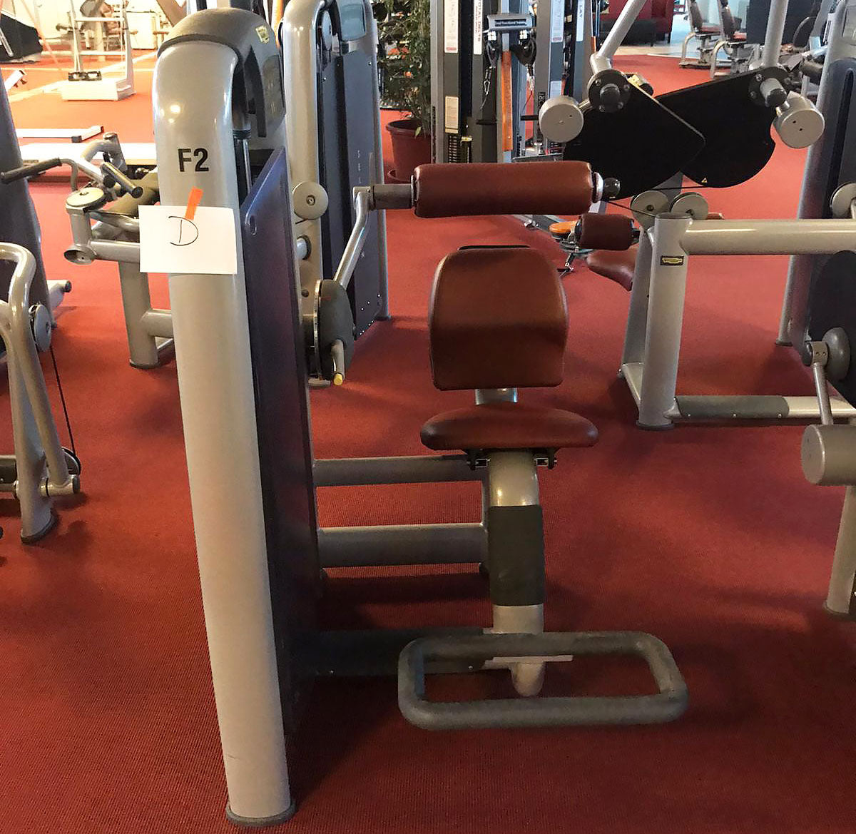 TechnoGym Back Extension, Rückenstreckermaschine, Hyperextension, Selection Line - Neues Modell mit Plastikverkleidung, Polster Braun, gebraucht - überholter Zustand