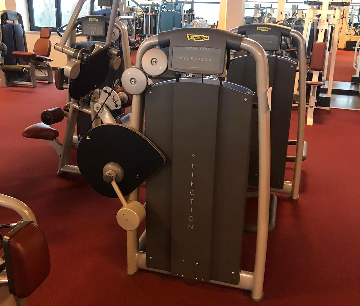 TechnoGym Back Extension, Rückenstreckermaschine, Hyperextension, Selection Line - Neues Modell mit Plastikverkleidung, Polster Braun, gebraucht - überholter Zustand
