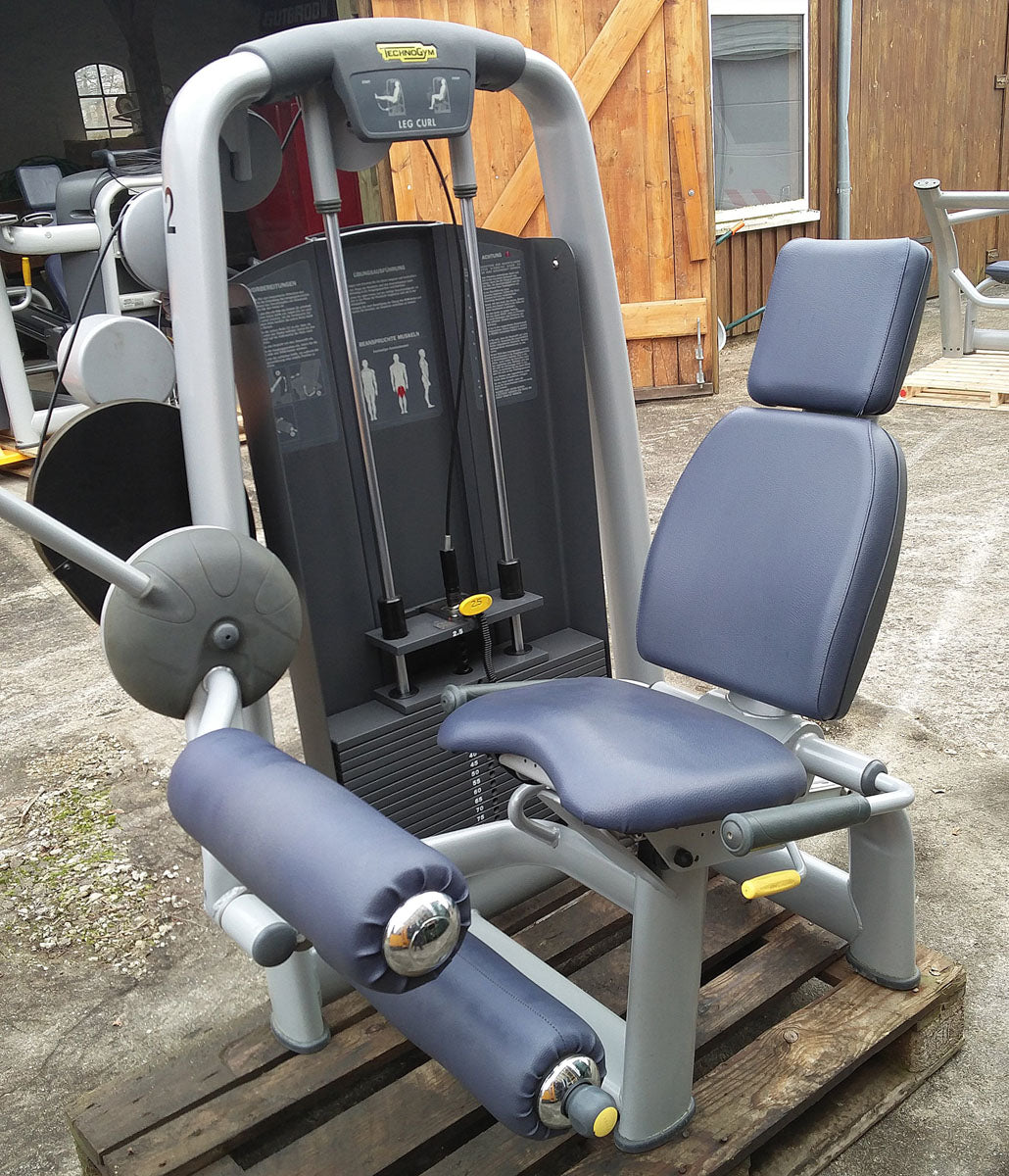 TechnoGym Selection Line Kraftgeräte Set-/Park mit 10 Fitnessgeräten, weitere Geräte auf Wunsch, gebraucht, geprüft und aufbereitet