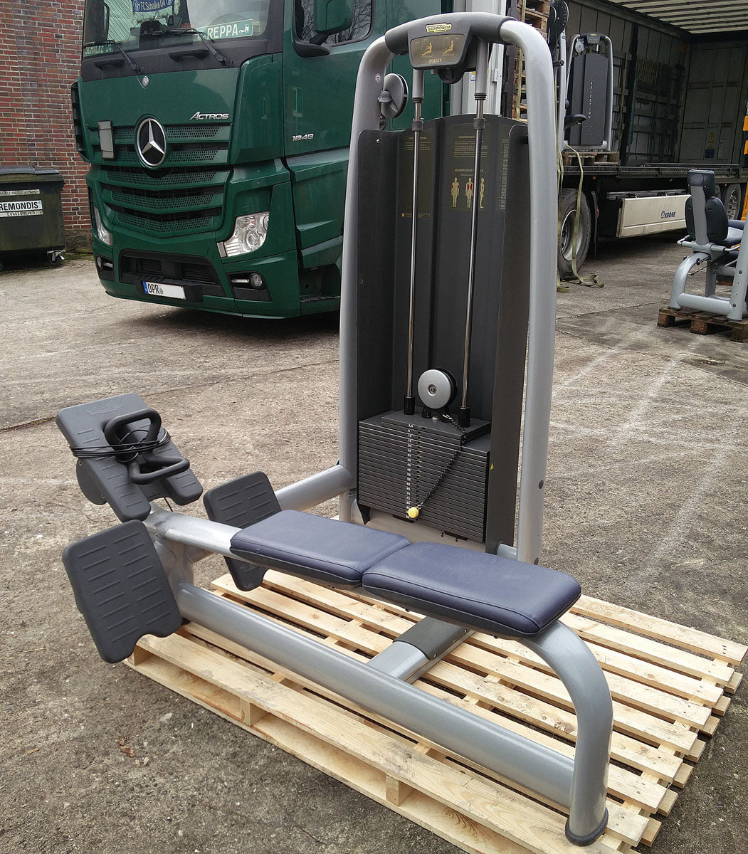TechnoGym Selection Line Kraftgeräte Set-/Park mit 10 Fitnessgeräten, weitere Geräte auf Wunsch, gebraucht, geprüft und aufbereitet