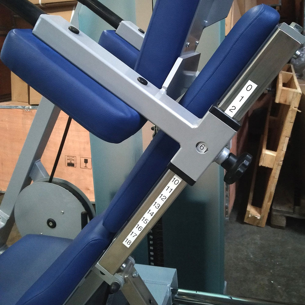 SVG Funktionsstemme, 200kg Gewichte, Kippkreisel, verstellbare Beinpresse, MPG, Reha Line, gebraucht - überholter Zustand