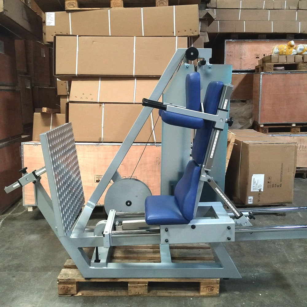 SVG Funktionsstemme, 200kg Gewichte, Kippkreisel, verstellbare Beinpresse, MPG, Reha Line, gebraucht - überholter Zustand
