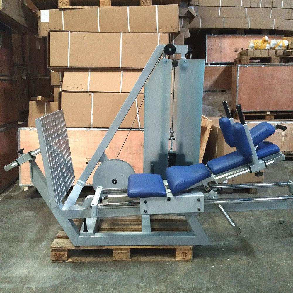 SVG Funktionsstemme, 200kg Gewichte, Kippkreisel, verstellbare Beinpresse, MPG, Reha Line, gebraucht - überholter Zustand