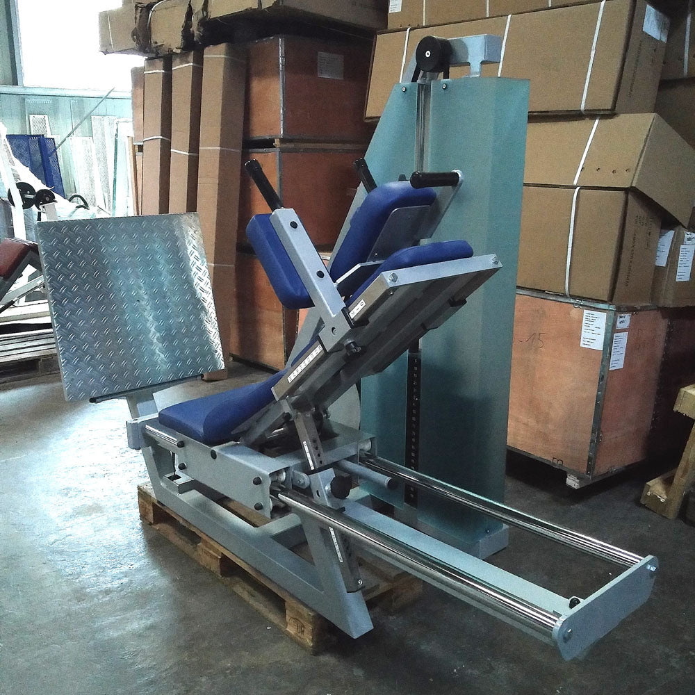 SVG Funktionsstemme, 200kg Gewichte, Kippkreisel, verstellbare Beinpresse, MPG, Reha Line, gebraucht - überholter Zustand