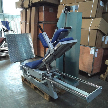 SVG Funktionsstemme, 200kg Gewichte, Kippkreisel, verstellbare Beinpresse, MPG, Reha Line, gebraucht - überholter Zustand