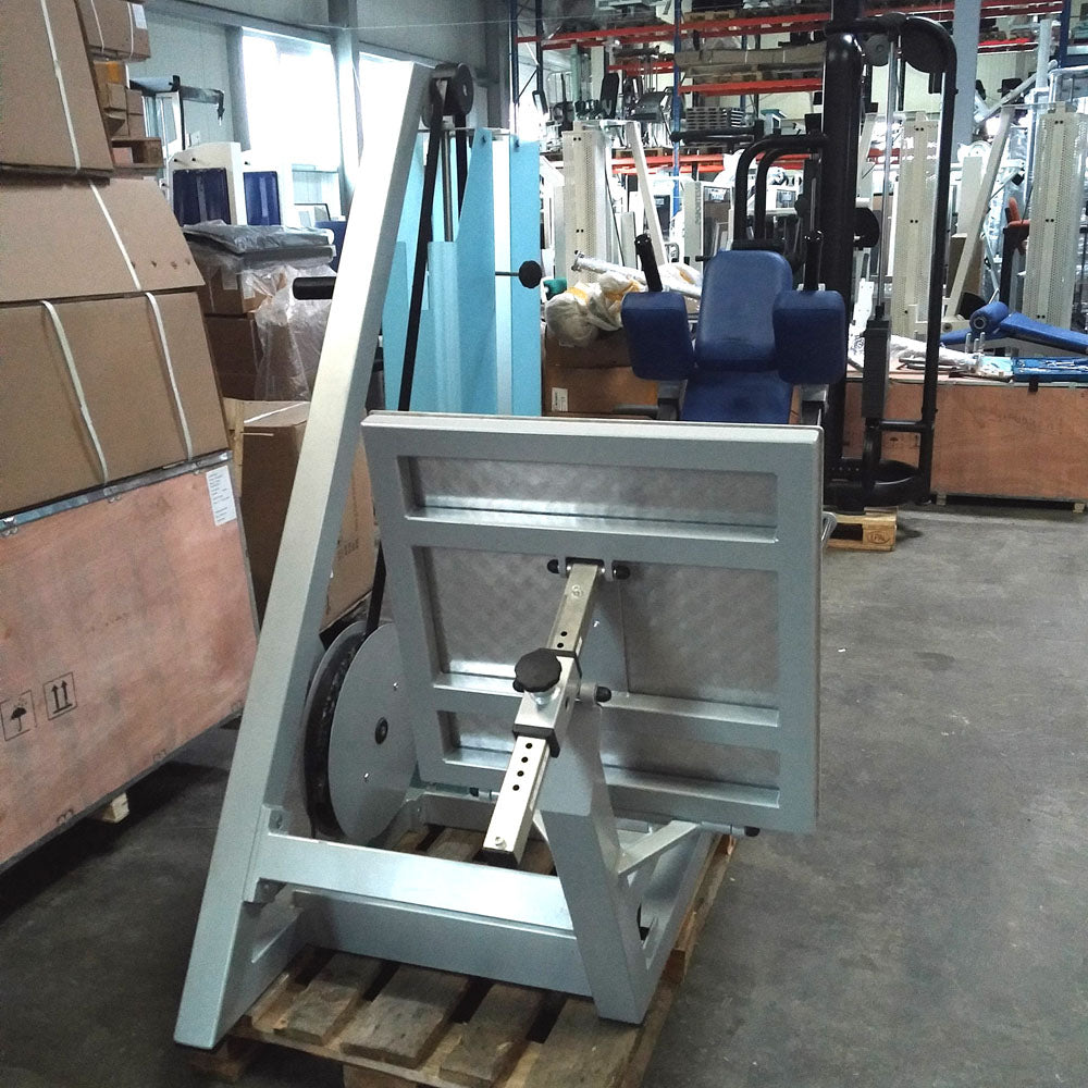 SVG Funktionsstemme, 200kg Gewichte, Kippkreisel, verstellbare Beinpresse, MPG, Reha Line, gebraucht - überholter Zustand