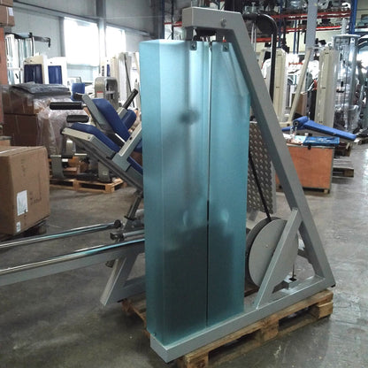 SVG Funktionsstemme, 200kg Gewichte, Kippkreisel, verstellbare Beinpresse, MPG, Reha Line, gebraucht - überholter Zustand