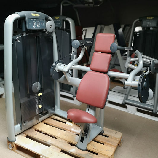 TechnoGym Trizepsmaschine, Arm Extension, Selection Line - Neues Modell mit Plastikverkleidung, Polster Braun, gebraucht - überholter Zustand