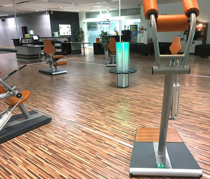 SportsArt Existenzgründerpaket - Kraftgeräte, Cardiogeräte, Zirkel, Hantelbänke etc - komplette Fitnessstudio Ausstattung - gebraucht, überholter Zustand