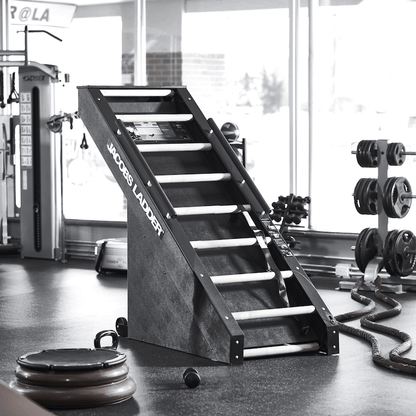 Jacobs Ladder Exclusive Treppensteiger Klettern X Cardiomachine Climber