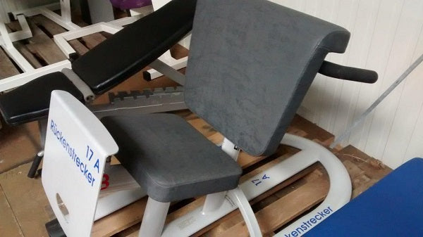 Kaphingst Hyperextension / Rückenstrecker, Knielage, verstellbar, gebraucht