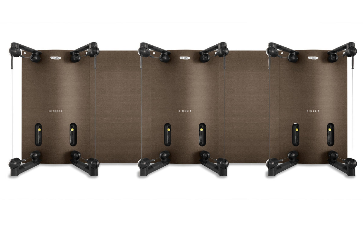 TechnoGym Kinesis Class Wand, Set mit 4 Modulen und TV, gebraucht, guter Zustand