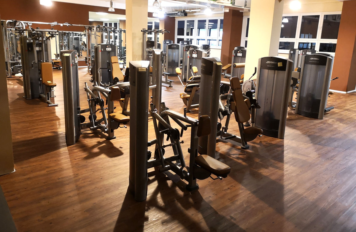 Life Fitness & Hammer Strength - 93 Fitnessgeräte - Kraftgeräte, Cardiogeräte, Plate loaded Geräte, Bänke etc - komplettes Fitnessstudio - gebraucht - TOP Zustand