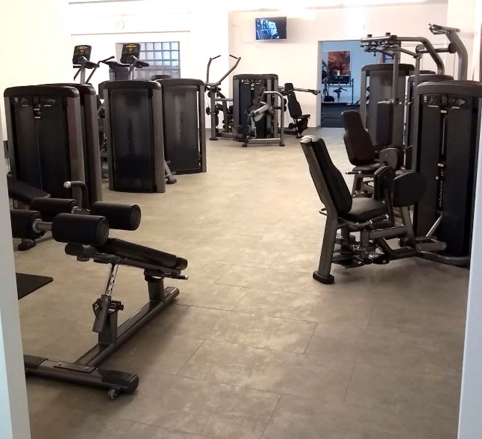 Life Fitness and Hammer Strength - complete gym - 65 pieces of fitness equipment - strength training equipment, cardio equipment, circuits, plate-loaded equipment, benches, etc. - used - TOP condition