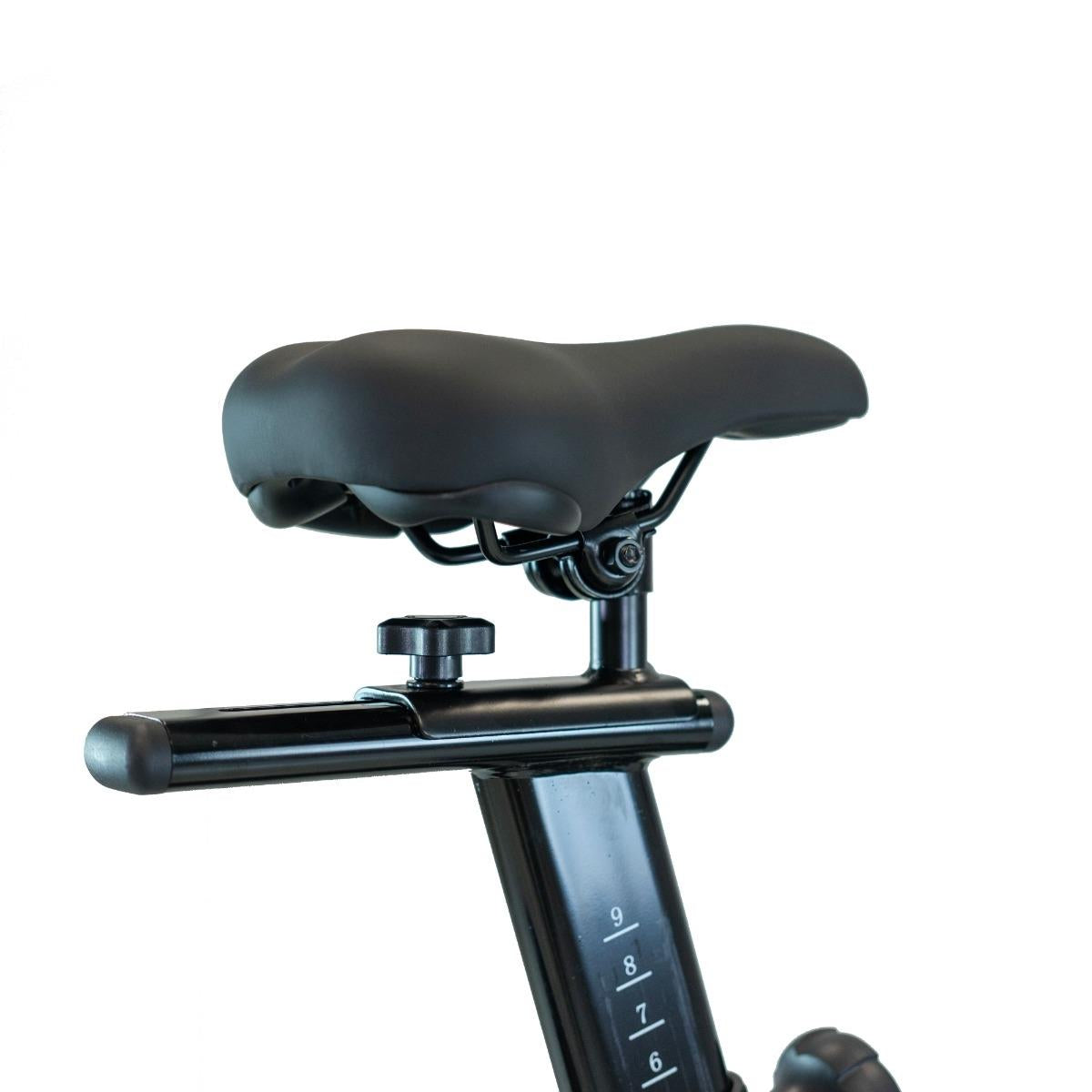 BH Fitness Indoor Cycle Xcalibur Magnetic