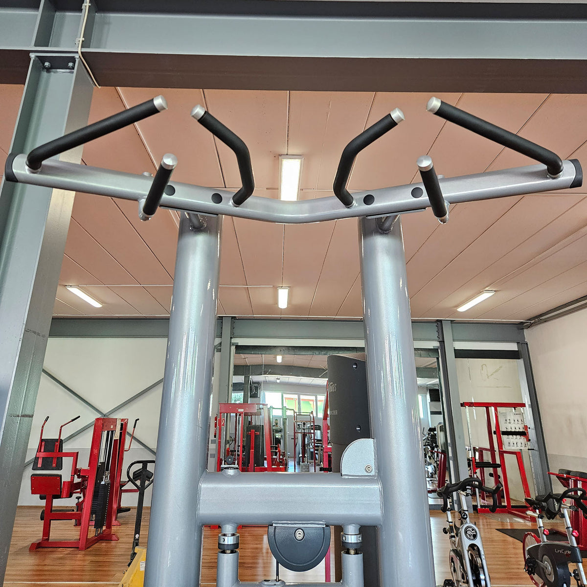 Life Fitness Dip-Klimmzugmaschine mit Gewichtsunterstützung, Dip-Chin Assisted, Signature Serie, Rahmenfarbe Silber, gebraucht - überholter Zustand