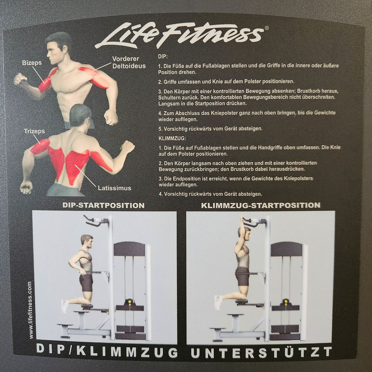 Life Fitness Dip-Klimmzugmaschine mit Gewichtsunterstützung, Dip-Chin Assisted, Signature Serie, Rahmenfarbe Silber, gebraucht - überholter Zustand