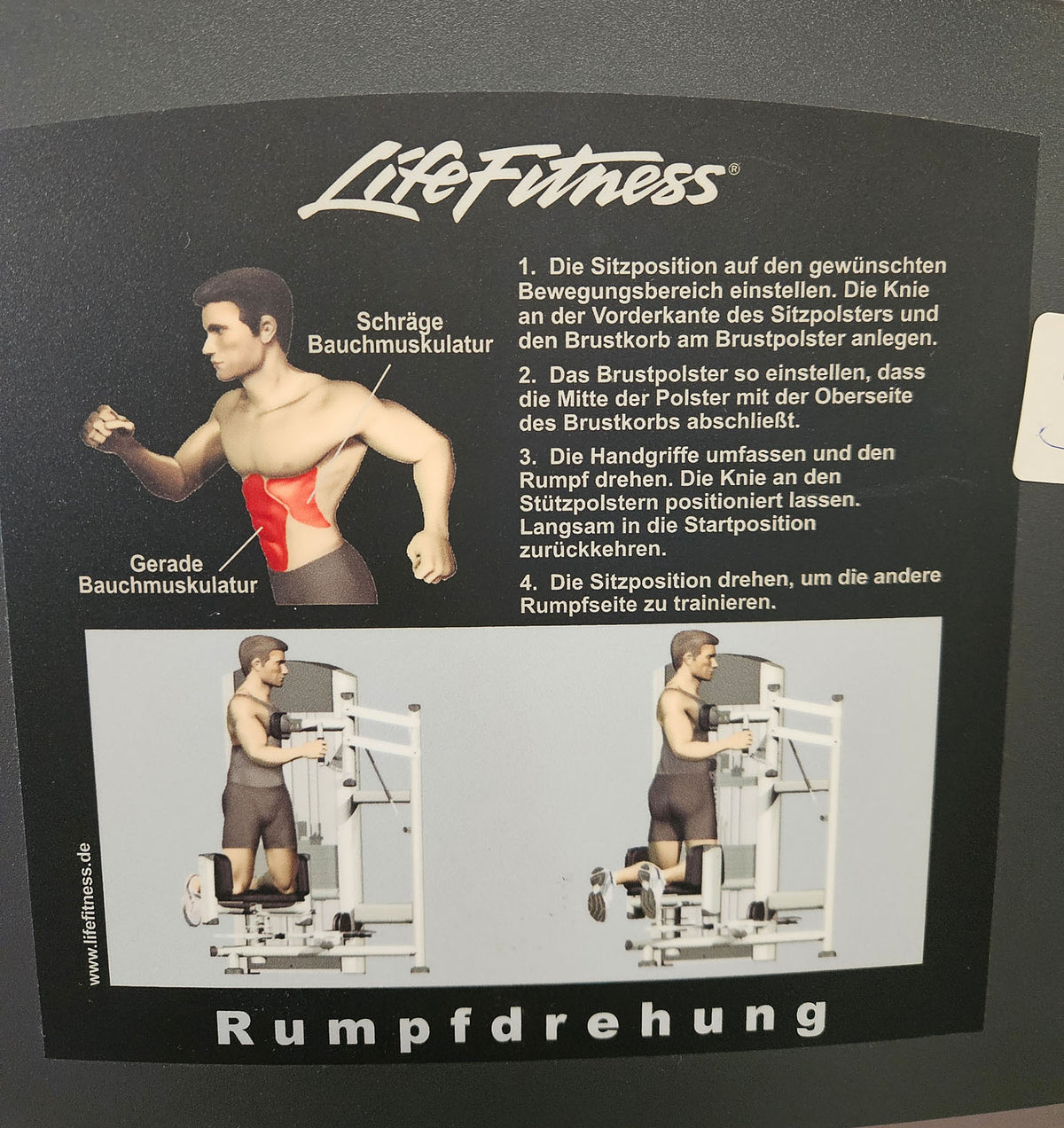 Life Fitness Rotationsmaschine, Rotary Torso Twister, Rumpfdrehung Rotator, Signature Series, Rahmenfarbe Silber, gebraucht - überholter Zustand