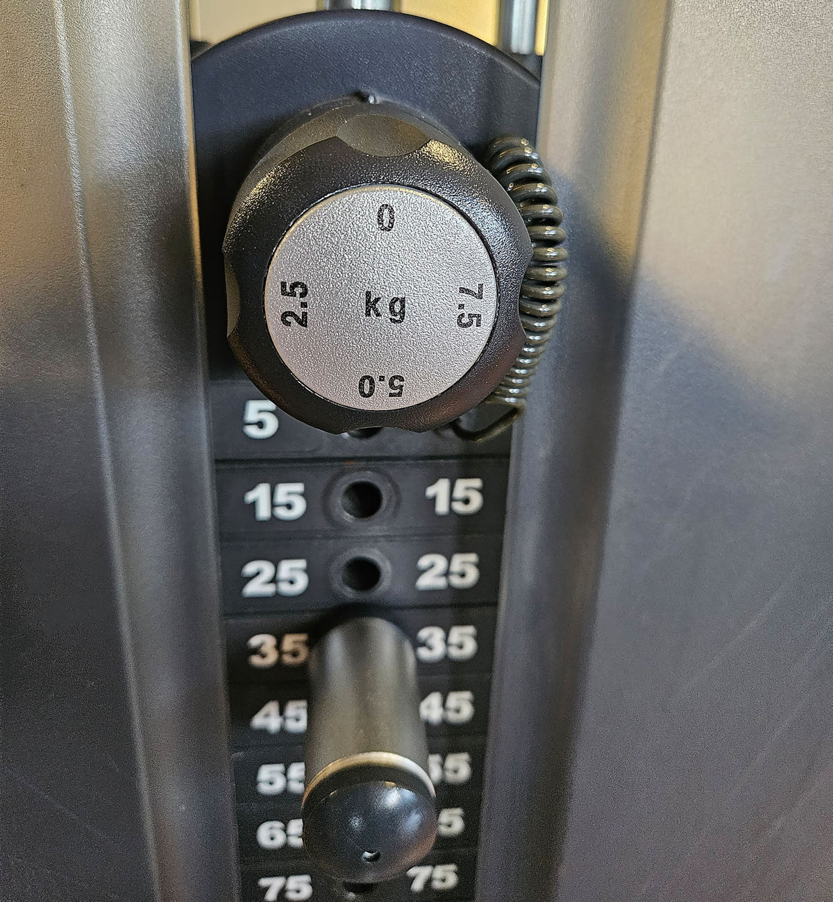 Life Fitness Rotationsmaschine, Rotary Torso Twister, Rumpfdrehung Rotator, Signature Series, Rahmenfarbe Silber, gebraucht - überholter Zustand