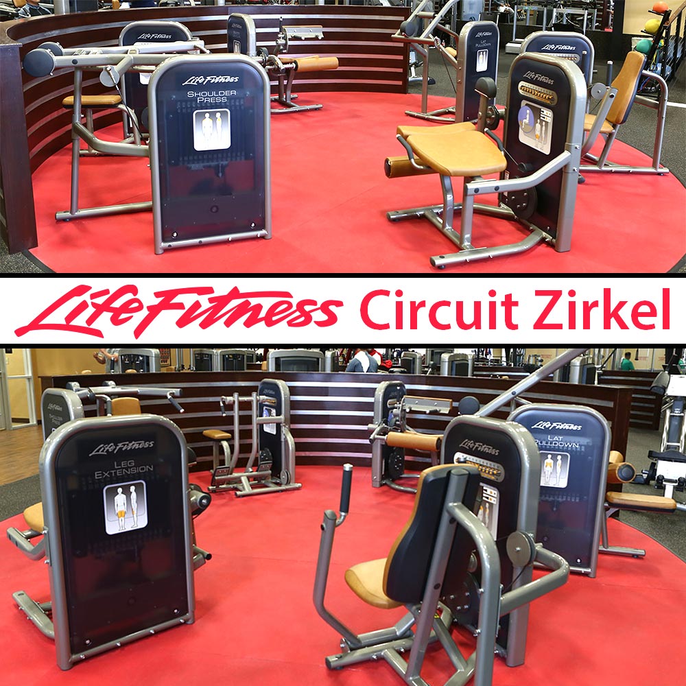 Life Fitness Circuit Series equipment circuit, 10 strength training machines in a set, used - refurbished condition