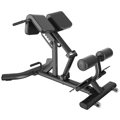 DankSport Adjustable Back Extension Bench - Hyperextension 45° - Back Extension - Silver and Black - NEW