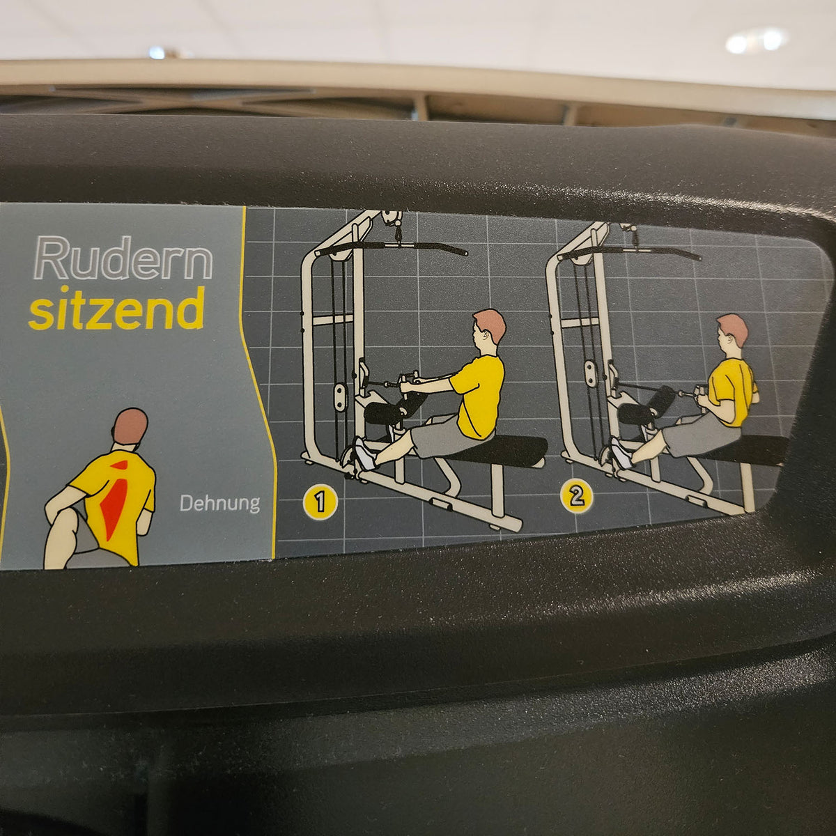 Matrix Versa Dual Latzug und Rudern sitzend VS-S331, Lat Pulldown and Row Machine, Kombimaschine 2 in 1, Rahmen Silber, gebraucht - überholter Zustand
