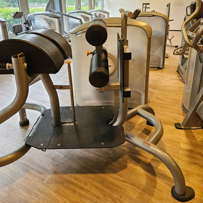 Matrix Magnum Glute Ham Bench MG-A96, Bank für unteren Rücken, Bauch, Beine und Po Training, Rahmenfarbe Silber, gebraucht - überholter Zustand